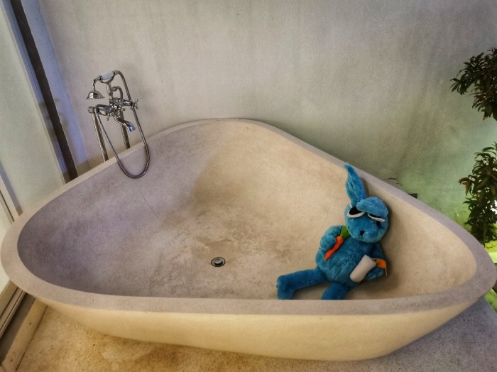 IMG_20200303_195519-01_copy_1003x752