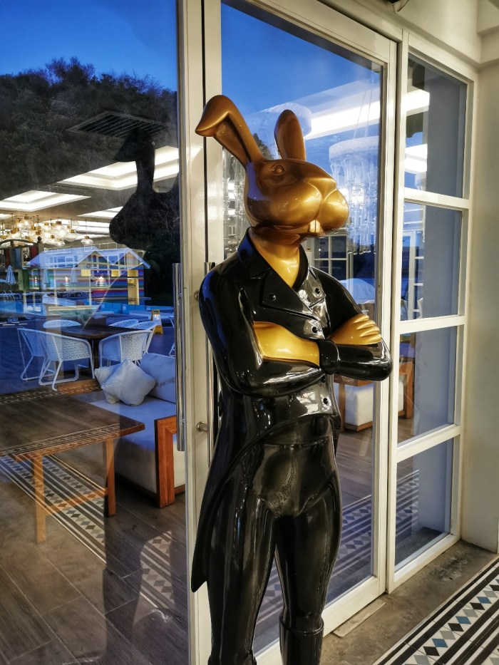 IMG_20200304_071829-01_copy_1003x1337