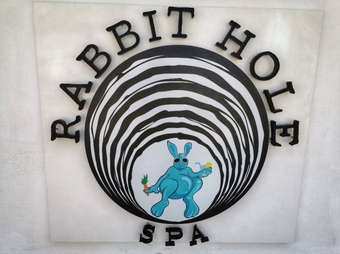 IMG_20200304_120102-01_copy_1003x752