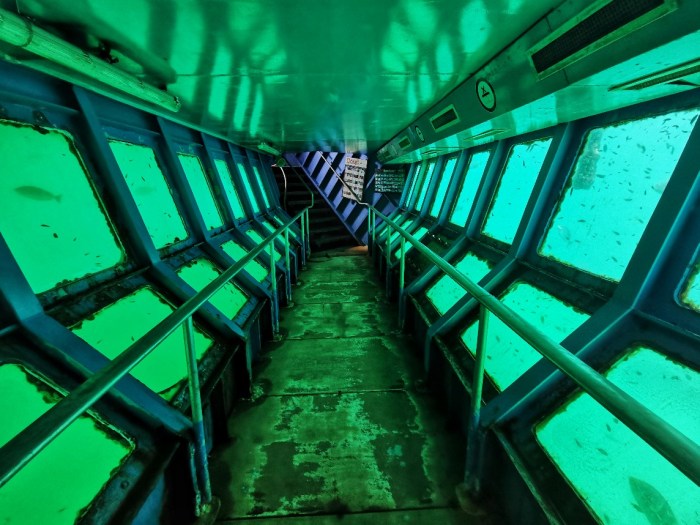 IMG_20200305_111047-01_copy_1144x858