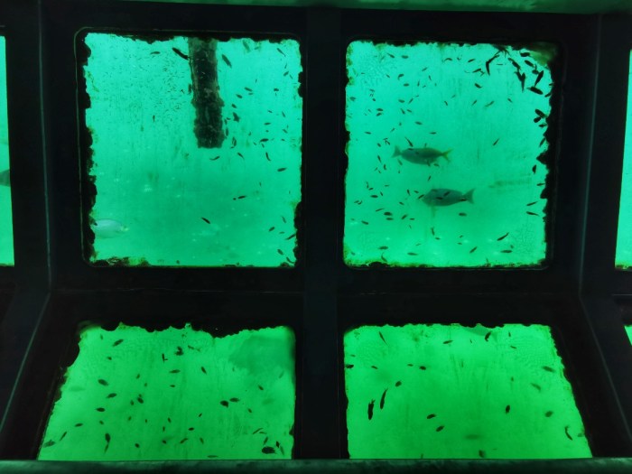 IMG_20200305_111101-01_copy_1144x858