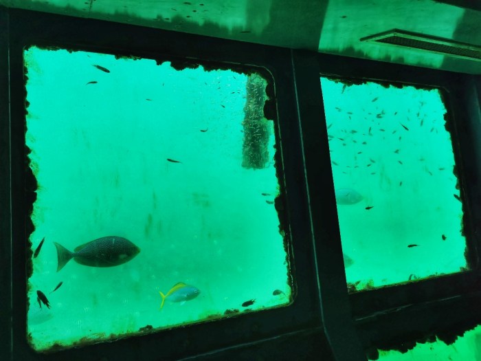 IMG_20200305_111214-01_copy_1144x858