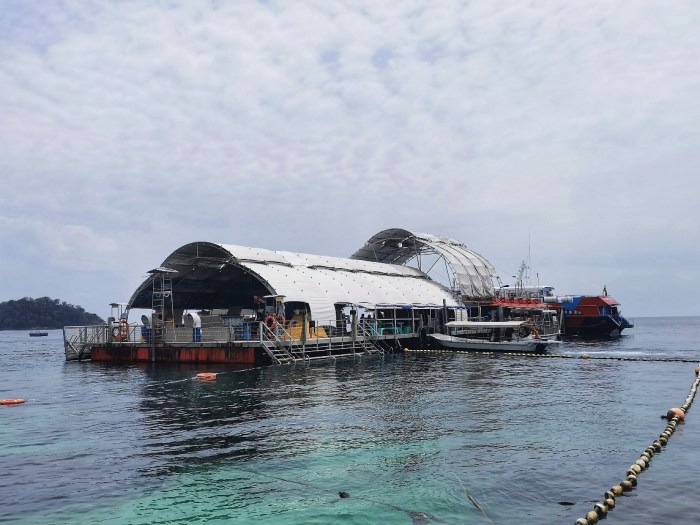 IMG_20200305_131047-01_copy_1144x858