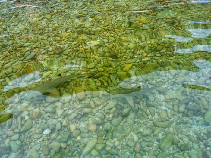 IMG_20200305_133449-01_copy_912x684