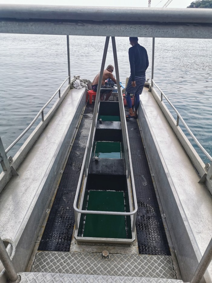 IMG_20200305_142221-01_copy_1144x1525