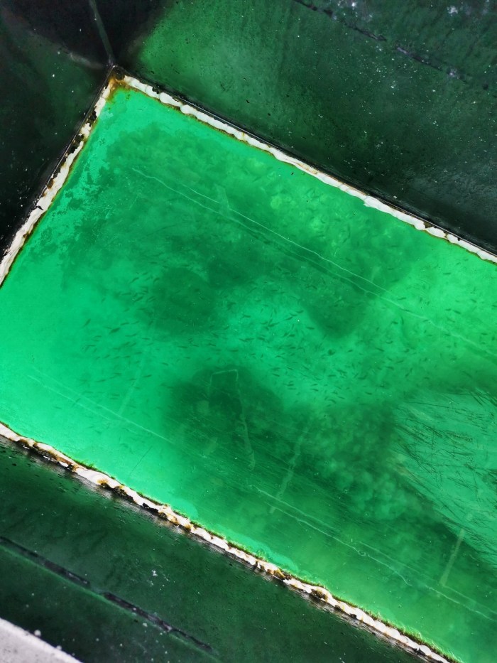 IMG_20200305_142745-01_copy_1144x1525