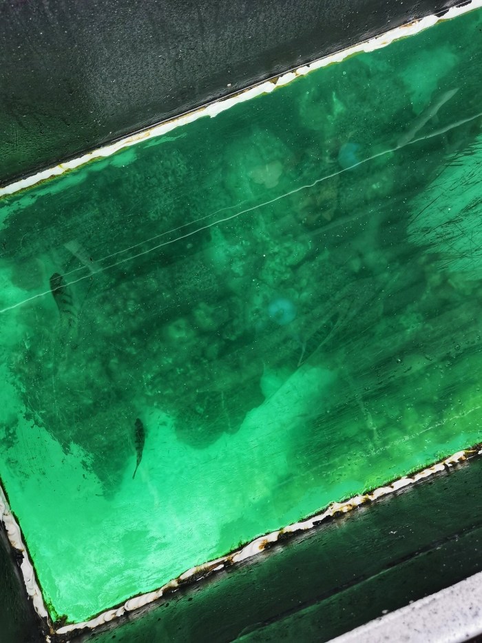 IMG_20200305_142944-01_copy_1144x1525