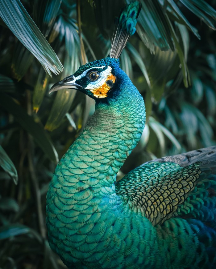 PB260525_copy_1232x1539