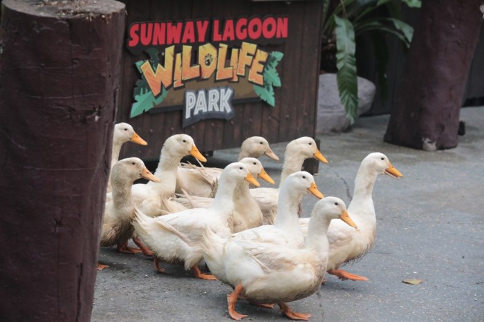 1L1A9585_copy_1116x744