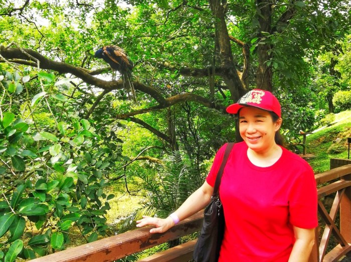 202006108644410343646663627-01-01_copy_912x683