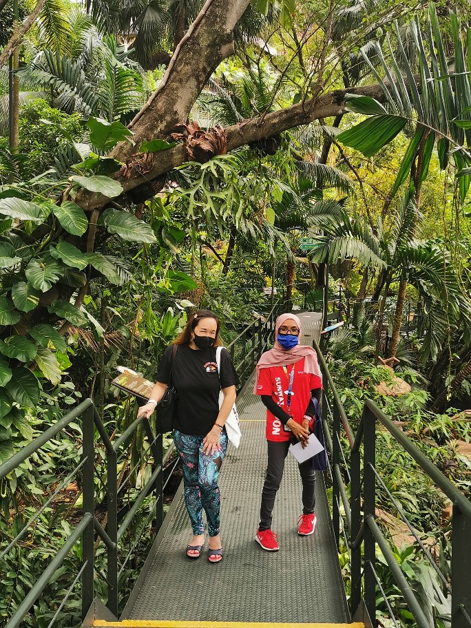 202006136484043192575949032_copy_684x912