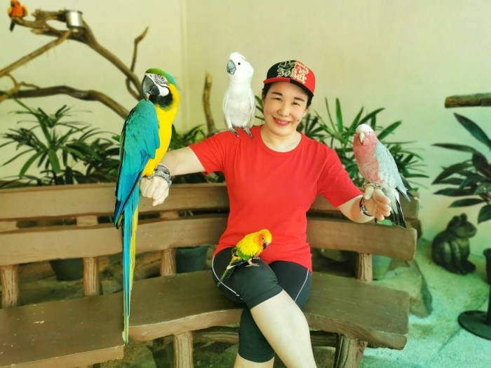 BeautyPlus_20200610193037359_save-01-01_copy_912x684