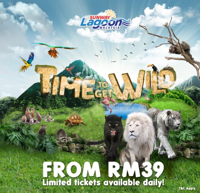 IMG-20200611-WA0011_copy_1069x1035