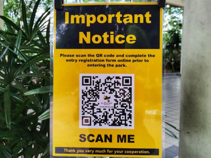 IMG_20200610_111829-01_copy_912x684