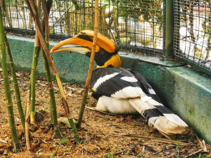 IMG_20200610_113033-01_copy_912x684