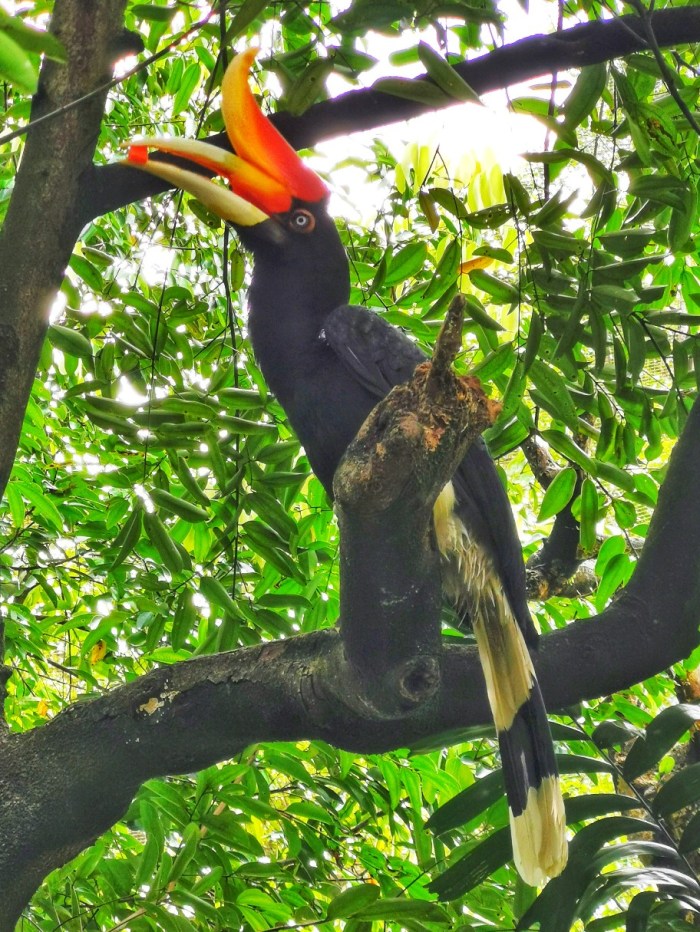 IMG_20200610_113310-01_copy_912x1215