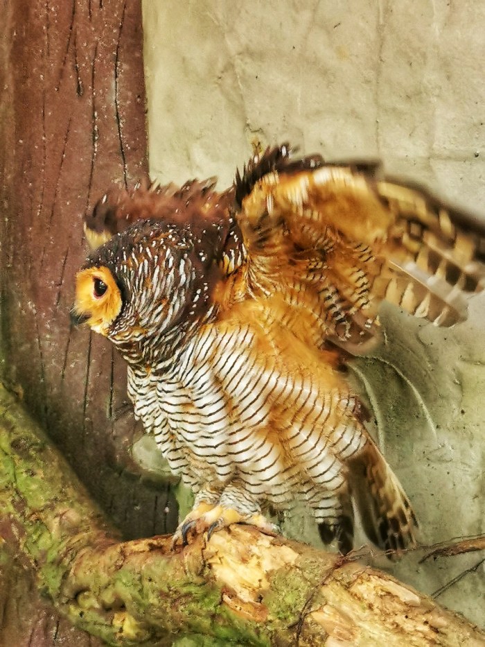 IMG_20200610_114103-01_copy_912x1216