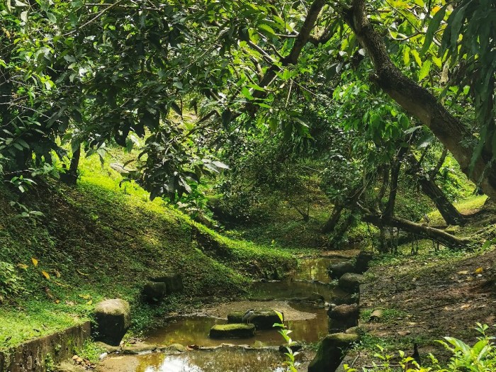 IMG_20200610_115109-01_copy_912x684