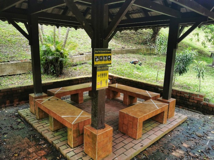 IMG_20200610_115202-01_copy_912x684