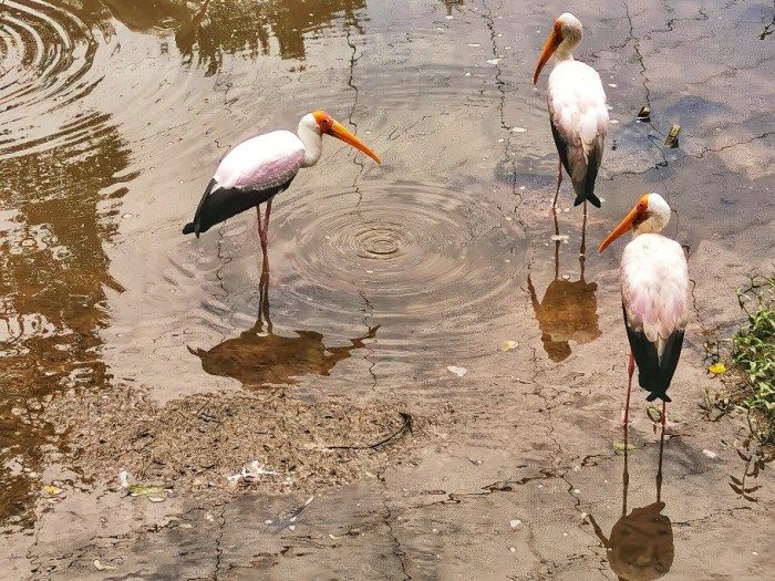 IMG_20200610_115507-01_copy_912x684