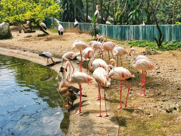 IMG_20200610_115742-01_copy_912x684