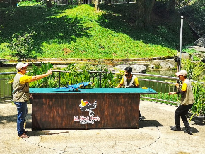 IMG_20200610_123925-01_copy_912x684