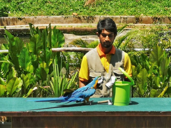 IMG_20200610_124759-01_copy_912x684