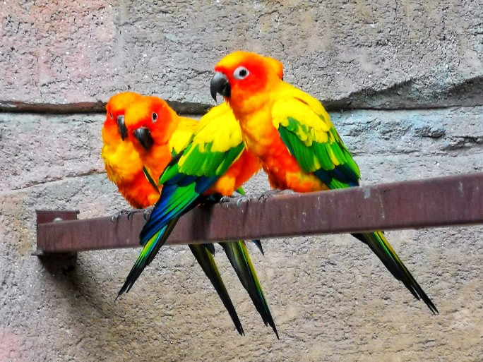 IMG_20200613_102655-01_copy_684x513