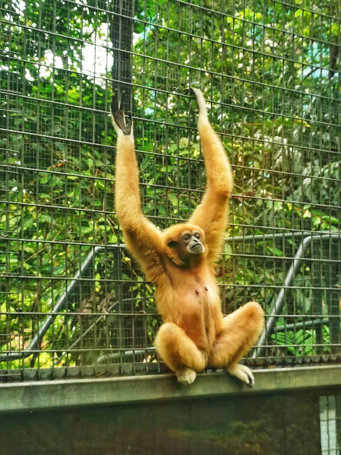 IMG_20200613_103046-01_copy_684x912