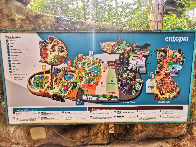 IMG_20200619_110735-01_copy_684x513