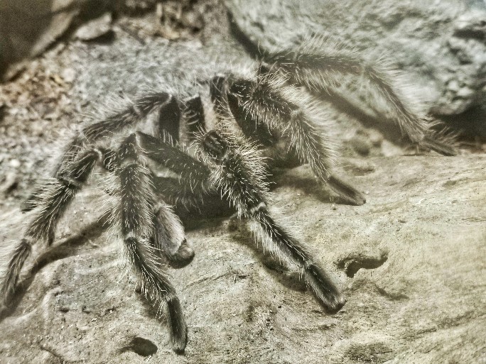 IMG_20200619_111428-01_copy_684x513