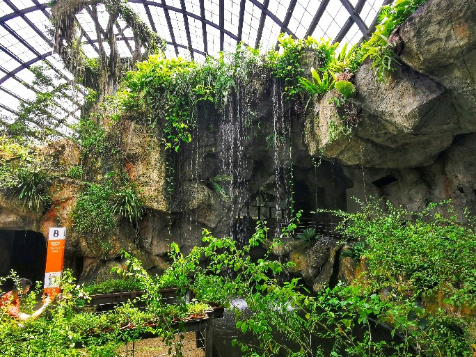 IMG_20200619_111613-01_copy_684x513