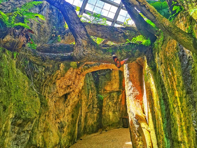 IMG_20200619_113139-01_copy_684x513