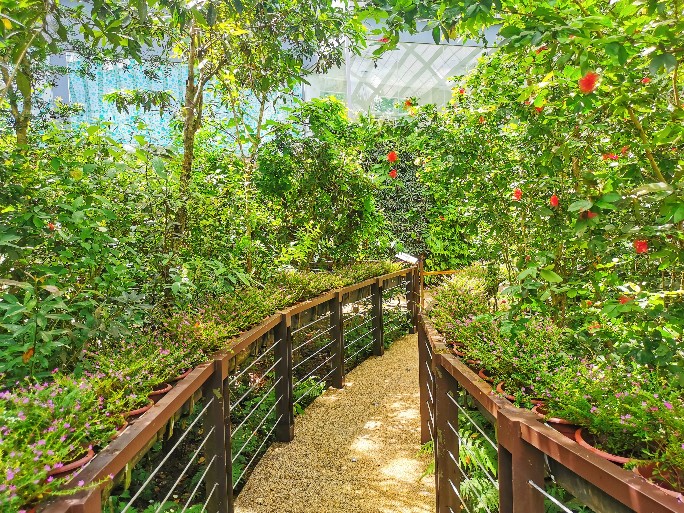 IMG_20200619_115209-01_copy_684x513