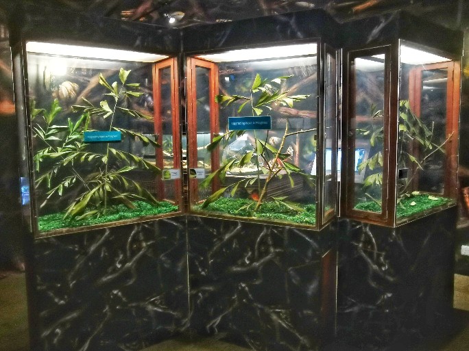 IMG_20200619_120348-01_copy_684x513