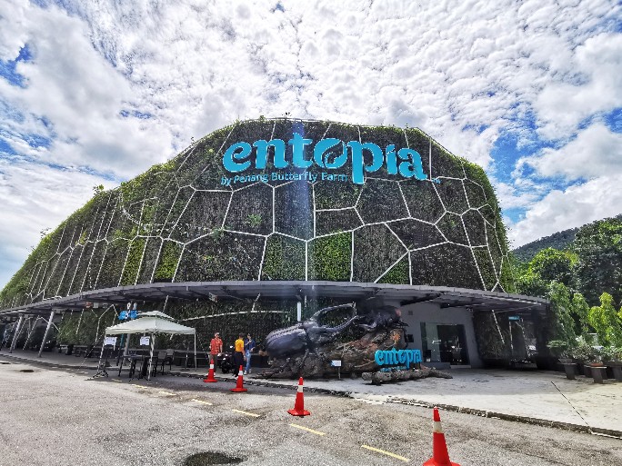 IMG_20200619_122051-01_copy_684x513