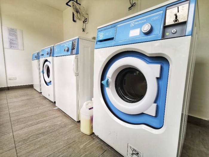 IMG_20200619_131010-01_copy_864x648