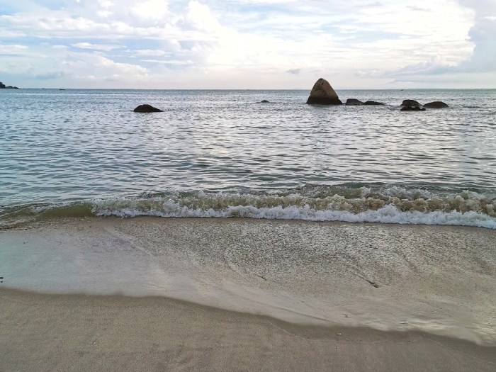 IMG_20200620_083032-01_copy_864x648