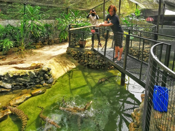 202007048868472976051747643-01-01_copy_912x683