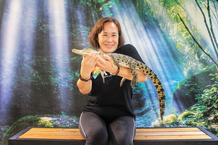 IMG-20200706-WA0029-01