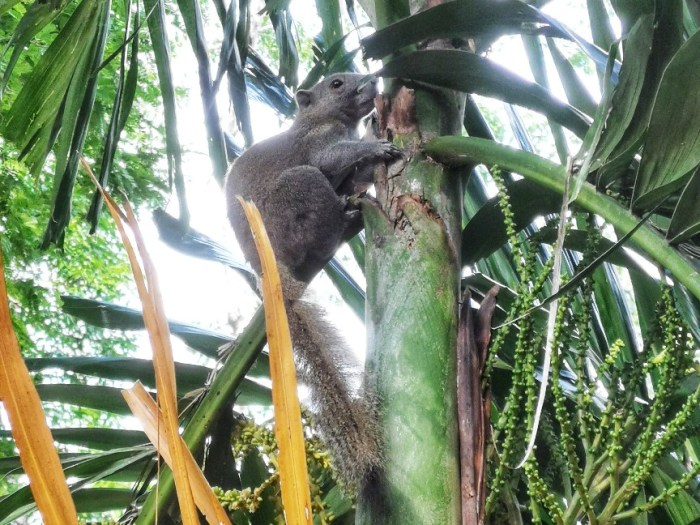 IMG_20200702_162406-01_copy_864x648