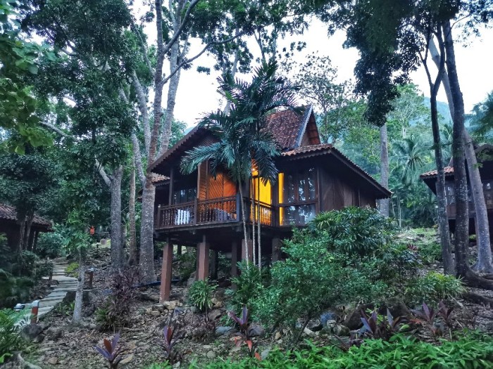 IMG_20200703_070623-01_copy_864x648