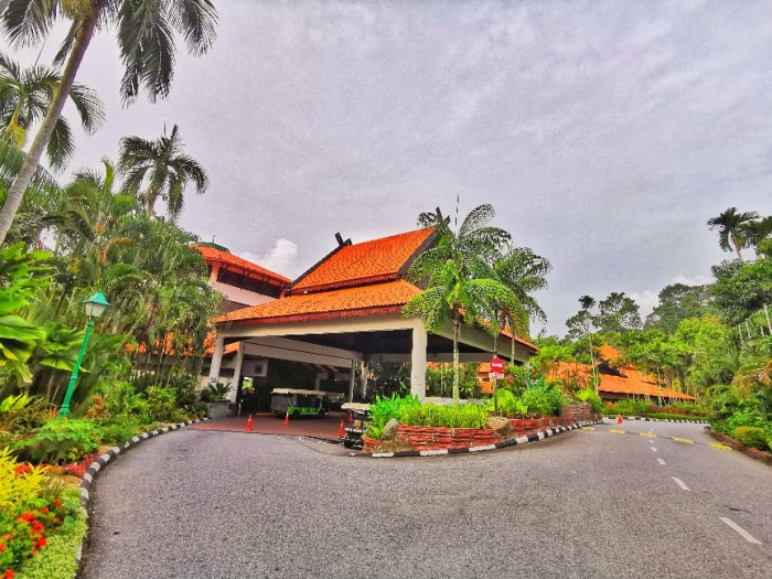 IMG_20200703_073132-01_copy_864x648