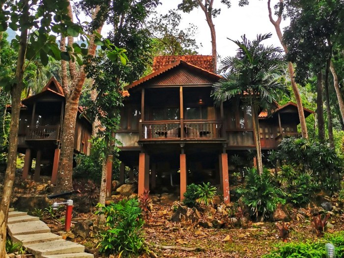 IMG_20200703_074236-01_copy_864x648