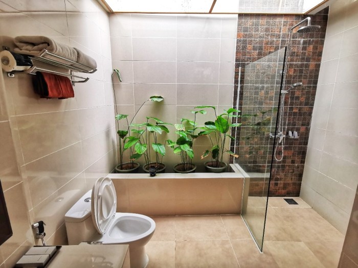 IMG_20200703_140722-01_copy_1152x864