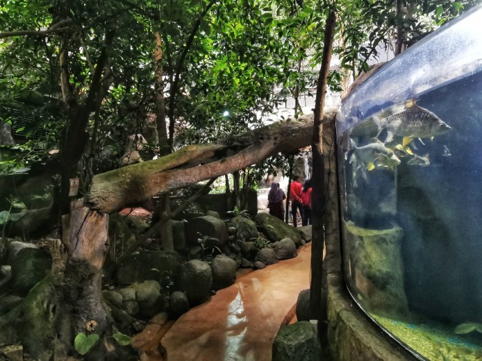 IMG_20200703_152651-01_copy_912x684