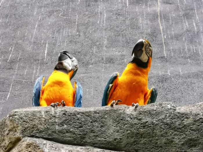 IMG_20200703_152918-01_copy_912x683