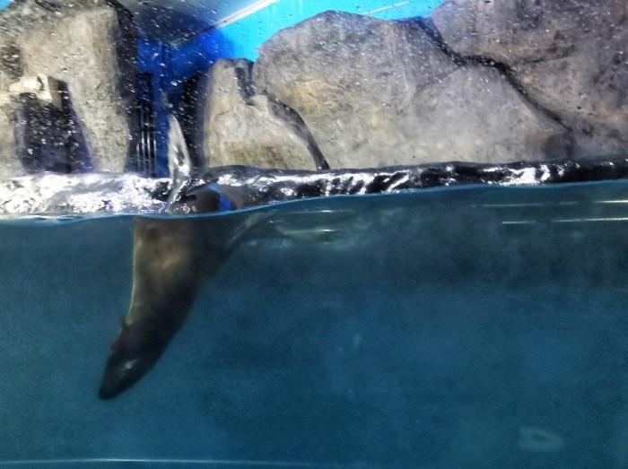 IMG_20200703_153114-01_copy_912x682