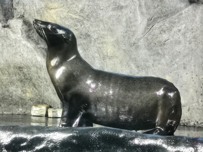 IMG_20200703_160611-01_copy_912x684