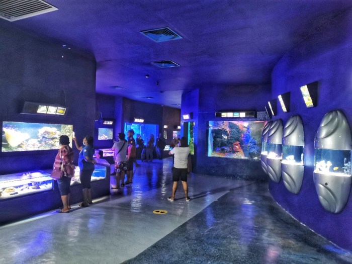 IMG_20200703_161606-01_copy_912x684